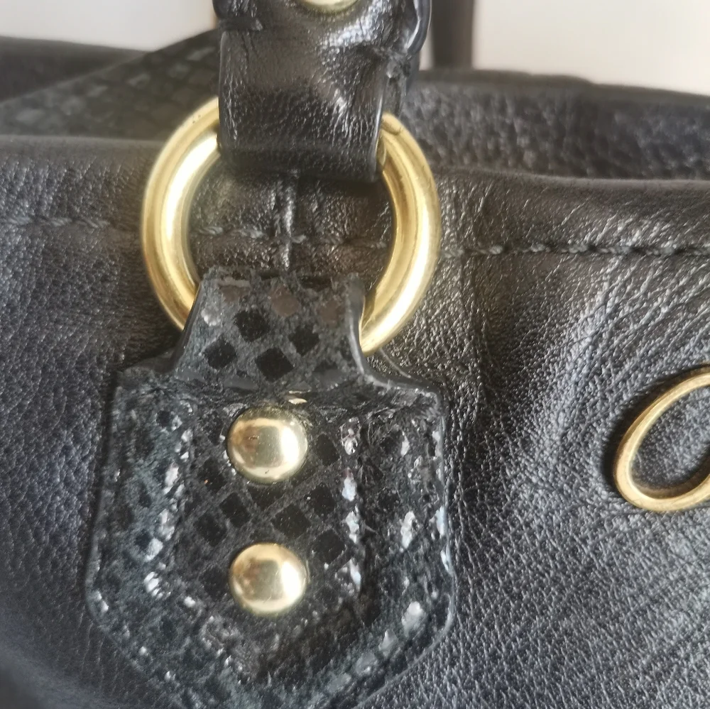 Coach Ashley Crossbody/ Handbag